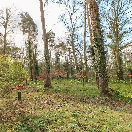 Somerset בית נופש